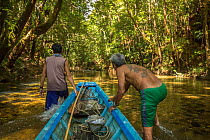 Village chief Apai Bandi guiding canoe up river with Dayak boatman, Sungai Utik Customary Forest, Kalimantan, Borneo, Indonesia.