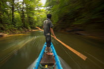 Dayak boatman travelling up the Utik River by canoe, Sungai Utik Customary Forest, Kalimantan, Borneo, Indonesia.