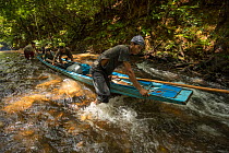 Dayak boatman guiding canoe up rapids on Utik River, Sungai Utik Customary Forest, Kalimantan, Borneo, Indonesia.