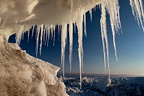 Icicles hang from a melting iceberg, Lancaster Sound, Baffin Island, Nunavut, Canada, May.