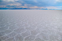 Salar de Uyuni salt flats, the largest and highest salt flats in the world, Bolvia.