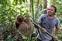 Maned sloth (Bradypus torquatus) gripping on to a pole being held by wildlife researcher, Atlantic Forest, Brazil. August, 2012.