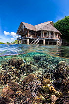 Split level view of a shallow garden of hard corals (including Heliopora sp.) thriving close to a water bungalow from Misool Resort, Misool, Raja Ampat, West Papua, Ceram Sea, Pacific Ocean.