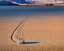 The "Racetrack", a dry lake bed where rocks are blown leaving tracks, given proper conditions of freezing and moisture combined with strong desert winds, Death Valley National Park, California, USA.
