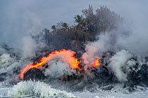 Glowing lava entering the Pacific Ocean causing eruptions of steam as surf collides with molten rock, Volcanoes National Park, Hawaii. August, 2010.
