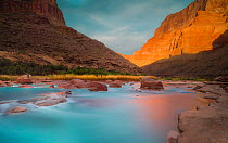Turquoise waters of the Little Colorado River near its confluence with Colorado River in the Grand Canyon with dawn light on Chuar Butte, Grand Canyon National Park, Arizona, USA. May, 2014.