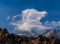 Mount Whitney, in the eastern Sierra Nevada mountains, rising above the Alabama Hills in foreground, with a giant lenticular cloud formation rising above the summit, Inyo County, California, USA. Marc...