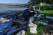 Cemetery on the shore of Chesapeake Bay being eroded away by rising sea levels and subsidence, Hooper Island, Maryland, USA. May, 2012.