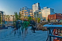 People in High Line urban park, a public park built on an historic freight rail line elevated above the streets of Manhattans West Side, New York City, USA. November, 2011.
