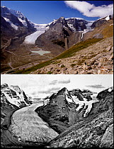 Poster showing two images of the Athabasca Glacier, one taken in 1917 and the other in 2005, Jasper National park, Alberta, Canada. 2005,