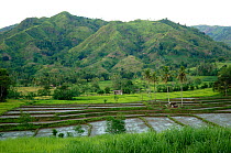 Deforested mountains beside agricultural land, Mount Apo area, Mindanao, Philippines, August 2006.