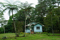 Guest house, Cinchona Forest Reserve Station, Mount Kitanglad Range Natural Park, Mindanao, Philippines, February 2007.