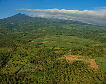 Aerial view of mountain deforested for agriculture, Mount Apo, Mindanao, Philippines, March 2007.