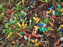 Spent shotgun cartridges collected in a clearing of just a few square metres, nr Lago Di Varano, Gargano, Puglia, Italy. April.