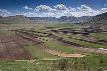 Ploughed land on the Piano Grande plateau before the summer flowering viewed from Castelluccio di Norcia, Apennines, Umbria, Italy. April, 2016.
