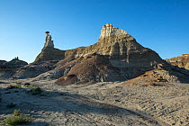 Rock formations formed by weathered sandstone, Bisti / De-Na-Zin Wilderness Area, New Mexico, USA, June 2023.