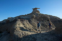 Hikers walk past Stone Wings rock formation, created by weathering of sandstone, Bisti / De-Na-Zin Wilderness Area, New Mexico, USA, June 2023. Model released.