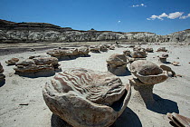 Alien Egg Hatchery rock formation created by weathering of sandstone, Bisti / De-Na-Zin Wilderness Area, New Mexico, USA, June 2023.