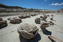 Alien Egg Hatchery rock formation created by weathering of sandstone, Bisti / De-Na-Zin Wilderness Area, New Mexico, USA, June 2023.