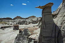Rock formation created by weathering of sandstone, Bisti / De-Na-Zin Wilderness Area, New Mexico, USA, June 2023.