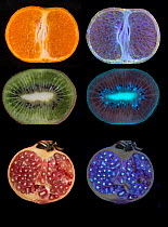 Cross section of fruit in visible light, and fluorescing in UV light on black background. Top: Orange; Centre: Kiwi; Bottom: Pomegranate.