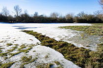 12,000 year old Ice Age pond, cut in half by an old drain, The Sturts East Nature Reserve, England, UK, January. Ice has melted over the drain because of water movement, demonstrating it is still func...