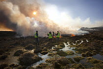 Controlled burning of moorland, also known as swailing, Dartmoor National Park, Devon, England, UK. Maarch, 2011.