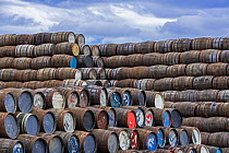 Stacks of discarded whisky barrels], Speyside Cooperage, Craigellachie, Aberlour, Banffshire, Grampian, Scotland, UK.