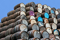 Stack of discarded whisky casks / barrels at Speyside Cooperage, Craigellachie, Aberlour, Banffshire, Grampian, Scotland, UK