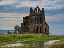 View of Whitby Abbey, Whitby, North East Yorkshire, England, UK. June, 2017.