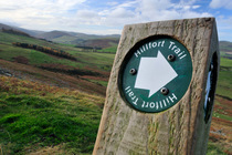 Hillfort Trail marker post on Yearvering Hill, Cheviot Hills, Northumberland National Park, Northumberland, England, UK. November, 2013.