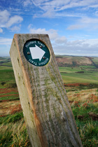 Hillfort Trail marker post on Yearvering Hill, Cheviot Hills, Northumberland National Park, Northumberland, England, UK. November, 2013.