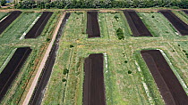 Aerial view of site where commercial peat extraction takes place, Glastonbury, Somerset, England, UK, August.