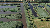 Aerial view of RSPB Sharpham Drove Nature Reserve, Glastonbury, Somerset, England, UK, August. Site was an old peat extraction site now flooded.