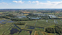 Aerial view of RSPB Ham Wall Nature Reserve, Somerset Levels, Somerset, England, UK, August.