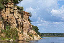 View of steep cliffs along riverbank and Nile River, Murchison Falls National Park, Uganda. November, 2022.