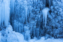 Icicles hanging from frozen Pericnik Waterfall, Triglav National Park, Julian Alps, Slovenia, February.