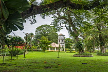 Botanical Gardens with view of the Clock Tower,  constructed in 1918, at the centre, Suva, Viti Levu, Fiji. October, 2018.