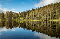 Timelapse of clouds passing over forest beside Uath Lochans, mirrored in water before wind disturbs the reflection, Cairngorms, Scotland, UK.