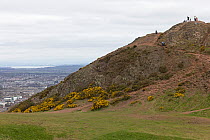 Hikers standing on top of Arthur's Seat with Edinburgh behind, Edinburgh, Scotland, UK. April, 2023.