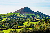 The Skirrid, Grosmont Parish, Brecon Beacons National Park, Monmouthshire, Wales, UK. October, 2023.