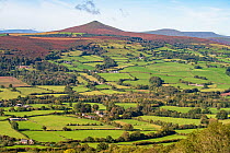 Sugar Loaf mountain as seen from the Skirrid, Brecon Beacons National Park, Monmouthshire, Wales, UK. October, 2023.