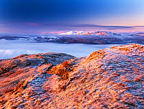 Wansfell covered in frost, with fog covered valley and Coniston Hills behind, Lake District, Cumbria, UK, December 2022.