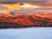 The Langdale Pikes and Bow Fell with valley mist, as seen from Ambleside at dawn, Lake District, UK, December 2022.