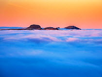 Peaks of Great Gable and Pillar poking out of blanket of cloud created by temperature inversion at dawn, as seen from Red Screes, Lake District, Cumbria, UK, January 2022.