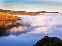 Mountaineer looking out at fog covering Ambleside from Red Screes, Lake District, Cumbria, UK, November 2022.