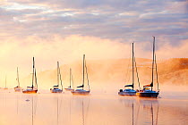 Sailing boats on Lake Windermere at sunrise, Lake District, Cumbria, England, UK, December 2010.