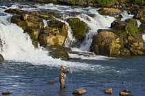 Man standing in river fly fishing for Salmon, Laxa i Kjos, Hvalfjorour, Iceland. June, 2023.