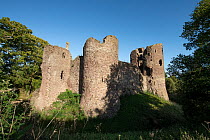 Ruins of Grosmont Castle towers and curtain wall with dry moat, Gwent, Monmouthshire, Wales, UK, October 2023.