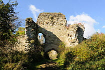 Ruins of Wigmore Castle gatehouse, Herefordshire, England, UK. October, 2012. Built in medieval era and destroyed during Civil War.